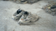Paire de basket laissée par un migrant sur un lieu d&amp;amp;amp;amp;amp;amp;amp;amp;amp;amp;#039;enfermement abandonné en Grèce.